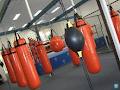 Healthy Buzz Boxing & Fitness image 1