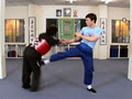 International Wing Chun Academy image 3