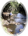 Johnstone River Retreat image 3