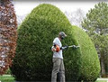 Lawn Mowing Services image 4