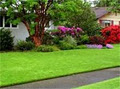 Lawn Mowing Services image 6