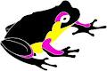 Licorice Frog logo