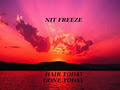 Nit-Freeze image 2
