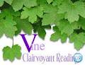 Vine - Natural Born Clairvoyant Medium image 2