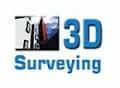 3D Surveying logo