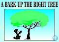 A Bark Up The Right Tree image 2