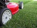 AJAYS Mowing & Garden Care image 2