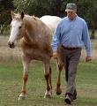 About Australia Horsemanship image 1