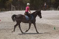 Academy Equestrian image 6
