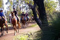 Academy Equestrian image 1