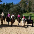 Adelaide Northern Horse Riding image 1