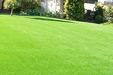 Affordable Grass Solutions image 2