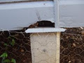 Allied Home Inspections image 4