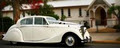 Allways Wedding Cars Pty Ltd image 2