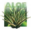 Aloe Vera image 1
