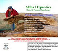 Alpha Hypnotics image 3