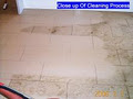 Alpine Carpet and Tile Cleaning image 6