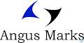 Angus Marks Finance Solutions - Sutherland Shire logo