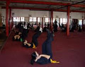 Australian Jow Ga Kung Fu Academy image 6