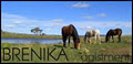 BRENIKA Horse Agistment image 1