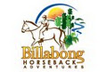 Billabong Horseback Adventures logo