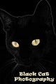 Black Cat Photography image 2