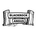Blackrock Angus logo