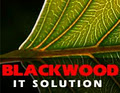 Blackwood IT Solution logo