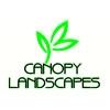 Canopy Landscapes image 3