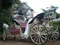 Castlereagh Wedding Carriages image 2