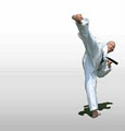 Combat Karate International image 2