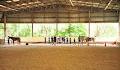 Dalson Park Indoor Equestrian Centre image 6
