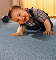 Deluxe Carpet Cleaning Pty Ltd image 1