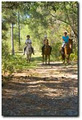 Dove Haven Equestrian Park image 2