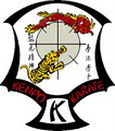 Dragon & Tiger Kenpo Arts image 4