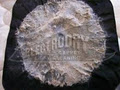 Electrodry Carpet Dry Cleaning - Modbury image 5