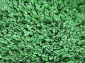 Enduroturf Synthetic Grass image 4