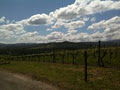 Epicurean Food and Wine Tours image 4