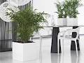 Frenchams Professional Indoor Plant Hire image 2