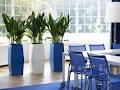 Frenchams Professional Indoor Plant Hire image 4