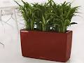 Frenchams Professional Indoor Plant Hire image 1