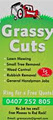 GRASSY CUTS image 2
