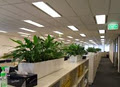 Gaddy's Indoor Plant Hire image 2