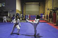 Global Martial Arts image 4