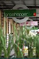 Grasshopper Kitchen logo