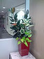 Greenleaves Indoor Plant Hire image 3