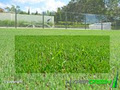 HYPERGREEN - Specialist Lawn Care for Luscious Lawns image 3