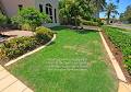 HYPERGREEN - Specialist Lawn Care for Luscious Lawns image 6