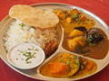 Indian Treasure Curry Express image 2