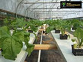Just Hydroponics Hoppers Crossing image 6